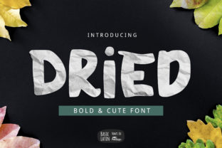 Dried: A Display Font for Bold Editorial Statements