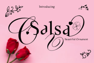 Salsa Serif Font for Handmade Branding and Display Design