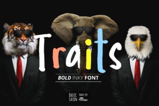 Traits: A Display Font for Editorial Elegance